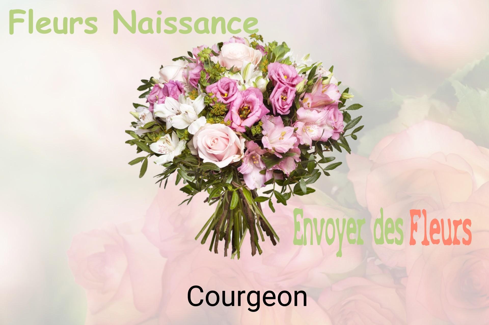 Bouquet de fleurs de naissance livré à Courgeon